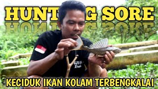 hunting sore cari supa jerami pakis dan tangkap ikan  di bekas kolam