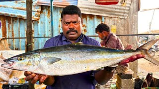 KASIMEDU SPEED SELVAM POONGULAL FISH CUTTING VIDEO / cutting focus