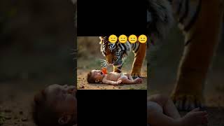 Tiger Approaches Crying Newborn Baby