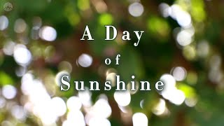 A Day of Sunshine : Music Makes Mind Havens