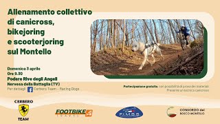 Allenamento canicross, scooterjoring CerberoTeam - FootbikeTravel - FIMSS - ConsorzioBoscoMontello