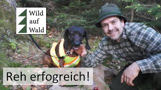 🦌Rehjagd: PRAXIS Tipp, von der Erlegung bis Nachsuche #wildaufwald