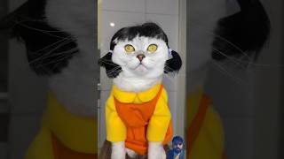 Funny cat short 🤣 #funny #cat #catlovers #tiktok #shorts #shortvideo