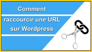 raccourcir une URL sur Wordpress : extension de raccourcisseur de lien