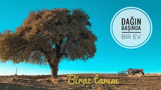 DAĞIN BAŞINDA HAVUZLU BİR EV | TARLA AKTARIYORUZ