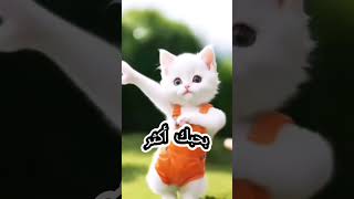 موده يا قمر | اغنيه باسم موده