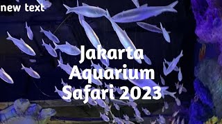 Jalan-jalan ke Jakarta Aquarium Safari Nopember  2023 #jakartaaquarium