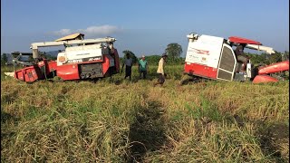 Kubota DC 70+ harvester stuck in mud 68 නැත්නම් සොරි