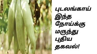 புடலங்காய் மருத்துவ நன்மைகள் |Health Benifits of Snake gourd | @HealthTips24Tamil