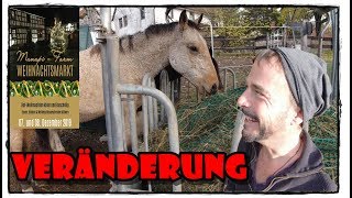 Große Veränderung auf Manapi-Farm | Pferde Hoschi