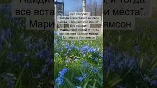 #дети #мир #любовь #природа #траволечение