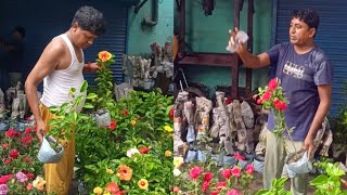 Kolkata Flower Plants Market Visit | Beli Flower Hibiscus Plants Rose Plant.