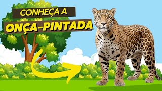 ONÇA-PINTADA 🐆 CONHECENDO e aprendendo a CONTAR e a FALAR