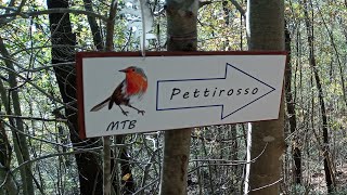 PETTIROSSO Trail