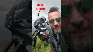 Ducati Desert X #shorts