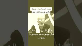 غنی فراری، کسی که خودش را بچه‌ی خر و موش می‌گفت. یک دیوانه‌ی روان‌پریش،اشرف غنی وطن‌فروش پ.