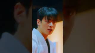 cha eun woo cool guy|team suho forever