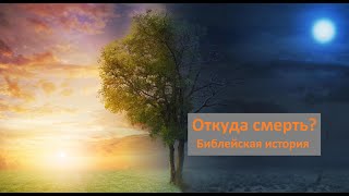 Откуда появляется смерть? Библейский экскурс