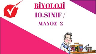 BİYOLOJİ / MAYOZ - 1 /  10.SINIF