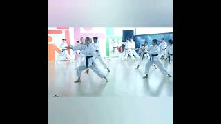 Shotokan Karate Kata Training (Heian Sandan) USS 🥋🙇‍♂️