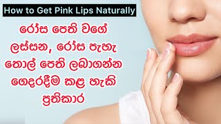 රෝස පෙති වගේ ලස්සන තොල් පෙති ලබාගන්න ගෙදරදීම කළ හැකි ප්‍රතිකාර😮✨ | How to Get Pink Lips Naturally