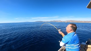 JORNADA AL VIVO!🦑🎣💥#fishing #calamares #viralvideo #brutal #sunrise #vivo