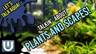 Aquarium Plants and Scapes! Let's Talk Aqua