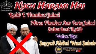 Kuch Harami Ka Radd|Mirza Plumber Aur Tariq Jaleel 🔥Radd |By:Sayyed Abdul Wasi Sahab#newstatus#radde