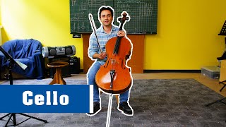 Das Cello - Instrumentenvorstellung