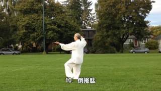 48式太極拳背向慢動作-1 (2013.09.16) 48 Form Tai Chi  Slow moving-1 (Back View)