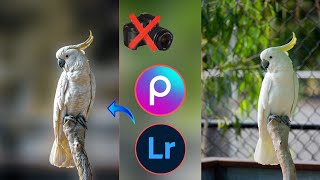 Picsart Background Blur Photo Editing || Lightroom Color Grading