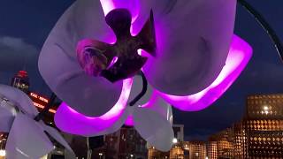 Reno's 2019 Winter Light Festival