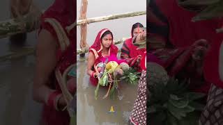 #chhath puja 🙏🙏status#chhath puja song#shitali wyariya song#viral shorts#viral song#Bihar#sham vlog