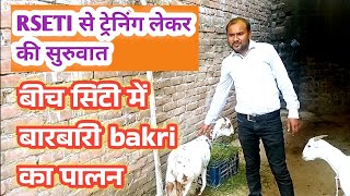 Fatehpur Bich City Me Khula New Goat Farm |Rseti Se Traning Lekar Kari Suruwat|Vimalumrao