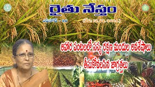 ఆహార పంటలలో సస్య రక్షణ మందుల అవశేషాలు తీసుకోవలసిన జాగ్రత్తలు || PJTSAU || Rhythu Nestam- Episode 20