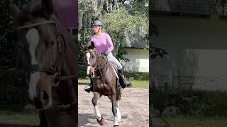 he’s so animated 😭💗 #horse #equitation #dressage #dressagerider #dressagehorse #equestrian #wec