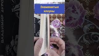 Знаменитые клоуны #букинистика #книги #книжныепокупки #цирк#клоун