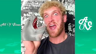 Try Not To Laugh While Watching Shark Puppet Compilation 2020 - Funny Shark Puppet Instagram Videos