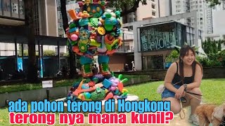 ada pohon  terong di Hongkong vlog #tkwhongkong