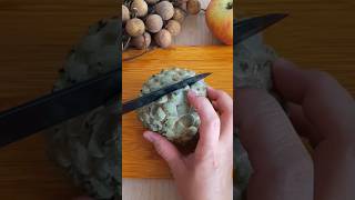 Satisfying Taiwanese Custard Apple Cutting #shorts #cuttingskills