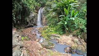 Diamond Botanical Gardens Mineral Baths and Waterfalls in St. Lucia, Caribbean #Shorts