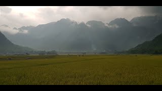 Mai Chau