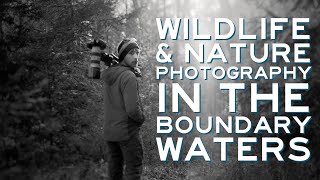 Wildlife and Nature Photography in the Boundary Waters