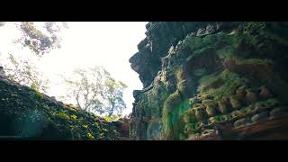 ប្រាសាទតាព្រហ្ម​ Ta Prohm temple