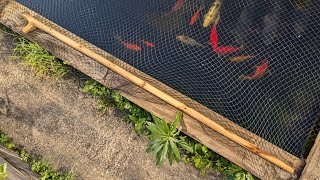 Stick Making - Spoke Horse, Draw Knife, Rasp