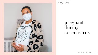 Pregnant During Coronavirus | The Nadolos