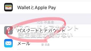 【iOS不具合】アカウントとパスワード設定画面が開けない