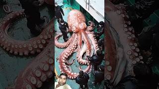 Big octopus 🐙 #octopus #travel #ocean #squid #whale #marinecreatures #fact  #trending #shorts