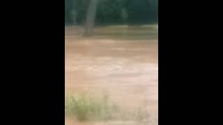 Evergreen Park flooded in Sheboygan