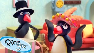 A New Hat! 🐧 | Pingu - Official Channel | Cartoons For Kids